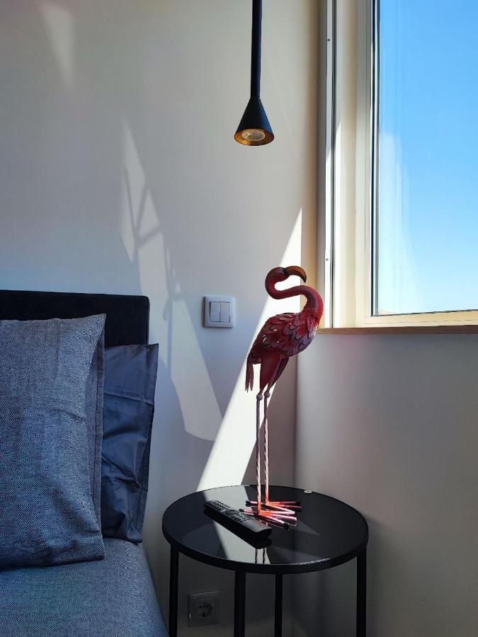 O Flamingo Apartments Ovar Extérieur photo